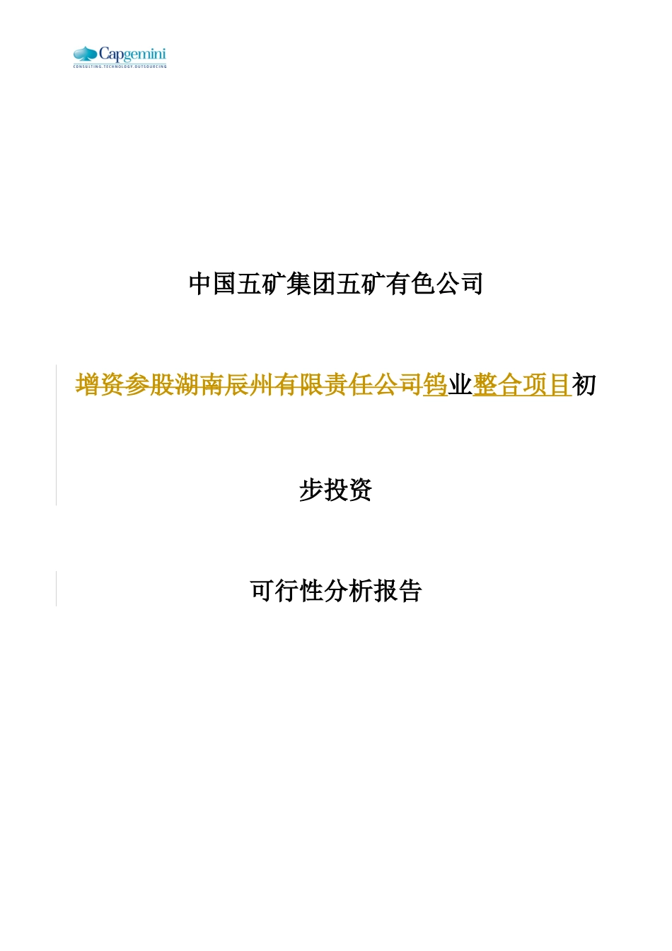 五矿有色钨整合项目初步投资可行性分析报告_第1页