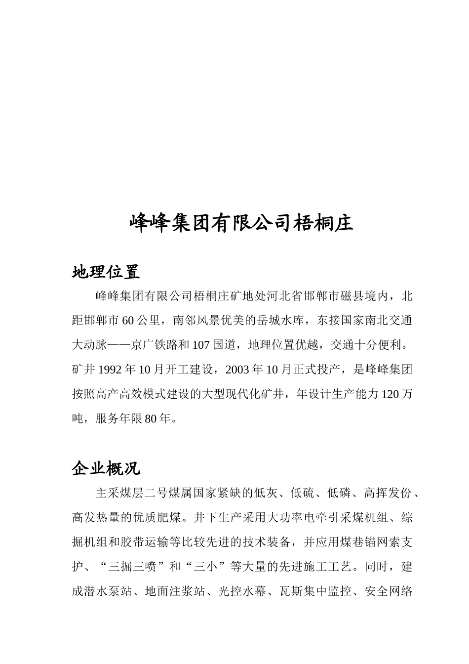 煤矿企业调研报告_第2页