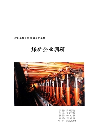 煤矿企业调研报告