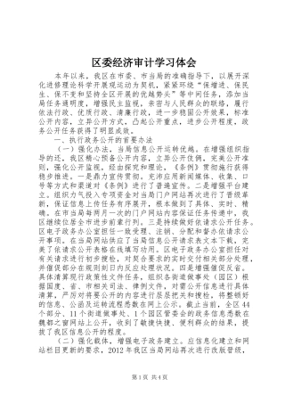 区委经济审计学习体会