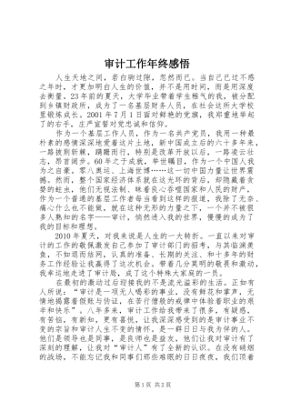 审计工作年终感悟