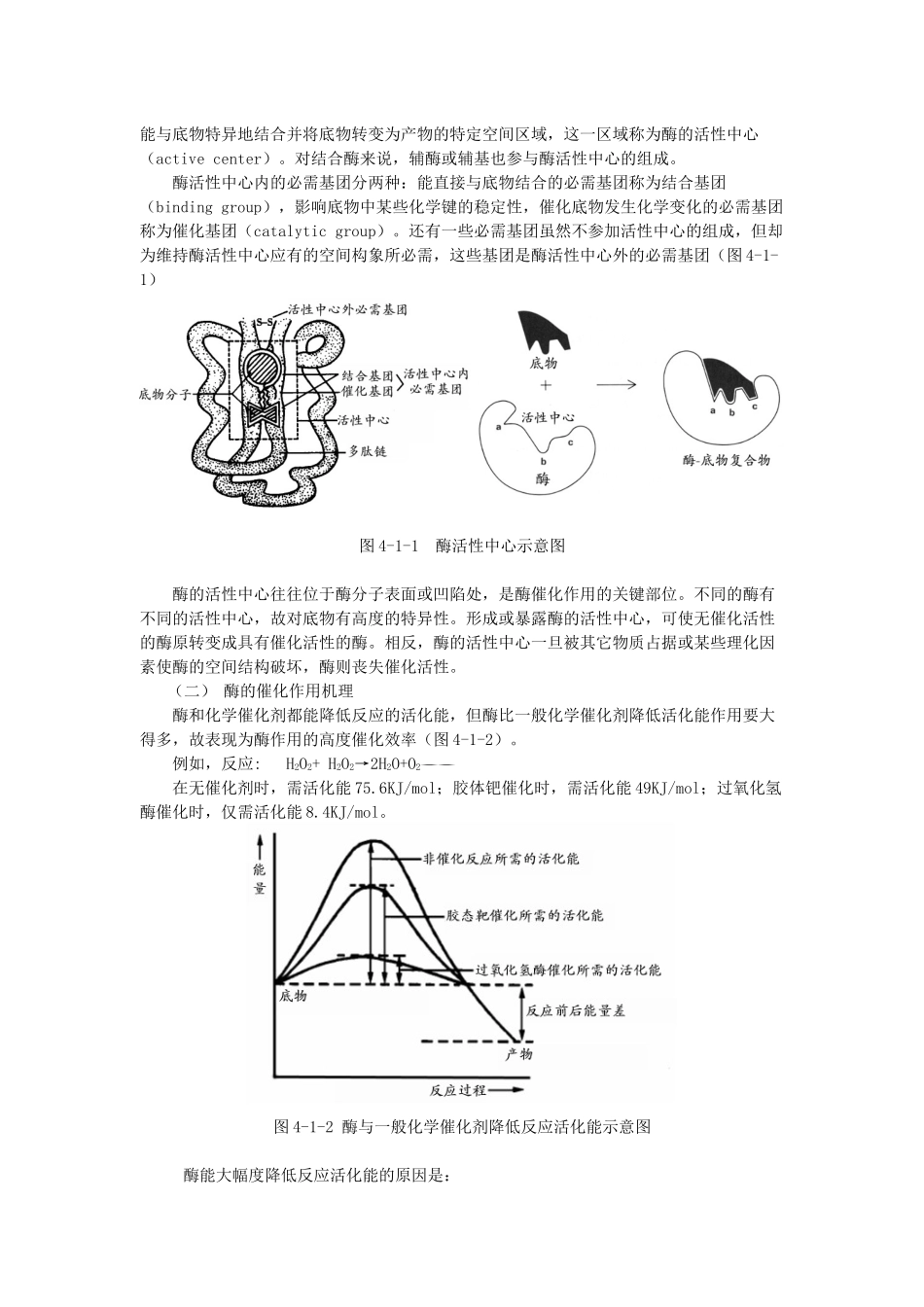 第四章生物催化剂-酶-第二章酶(Enzyme)_第3页