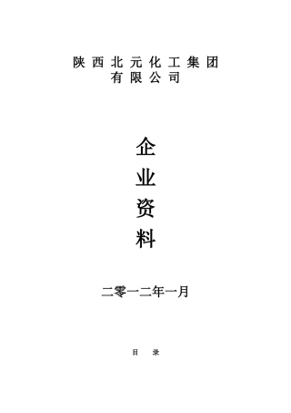 陕西北元化工集团有限公司 资料整编