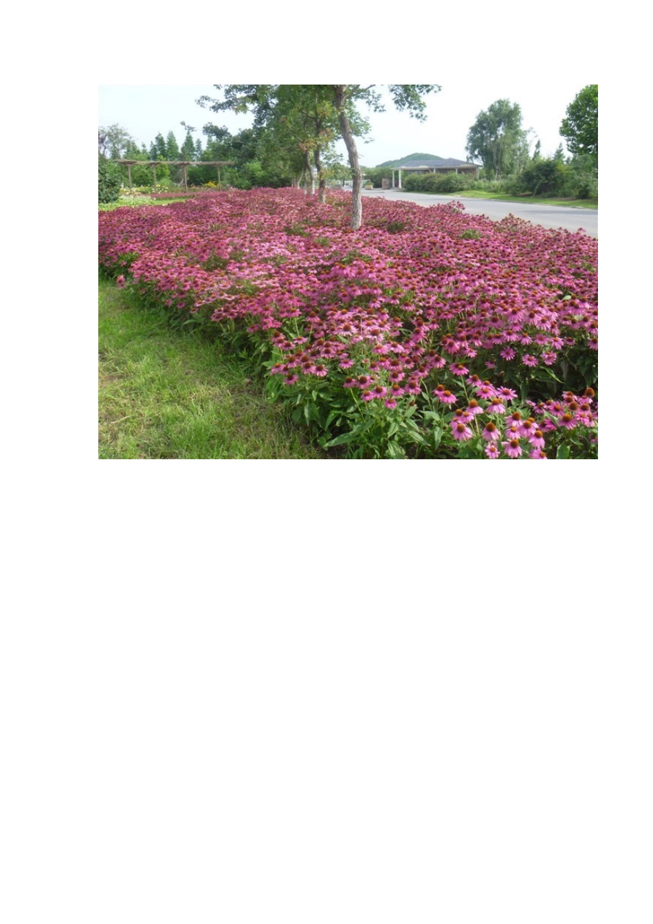 做好园林预算--详解入门_第2页