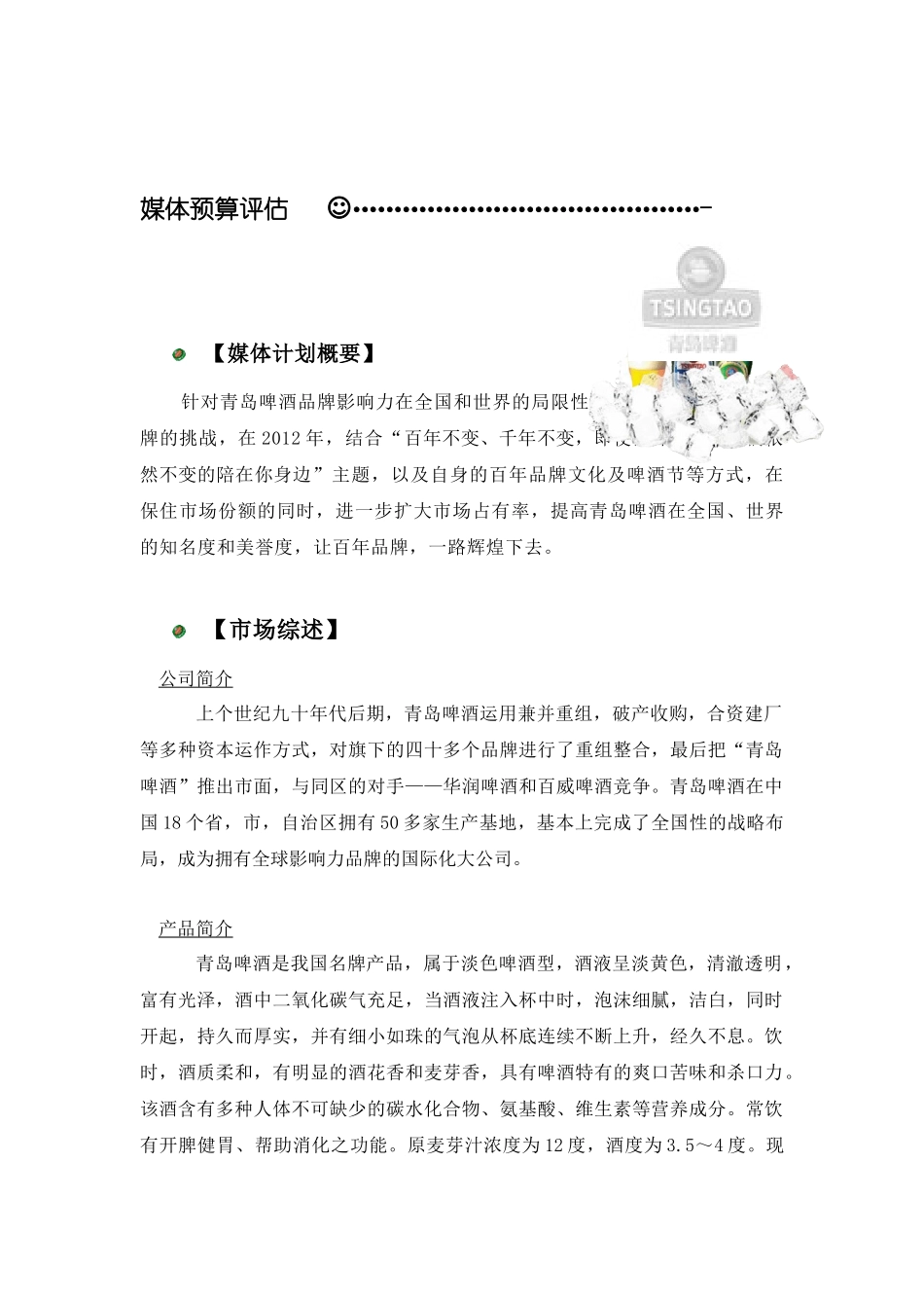 青岛啤酒媒体策划案_第3页