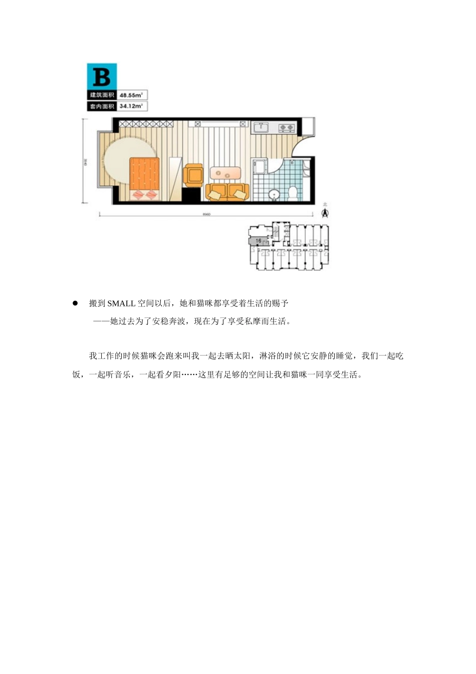 11、全国著名的小户型楼盘介绍2_第3页