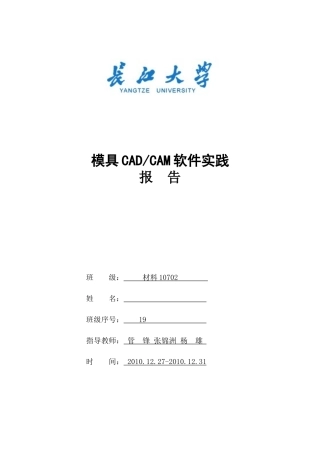 模具CADCAE软件实践报告