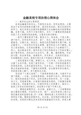 金融系统专项治理心得体会
