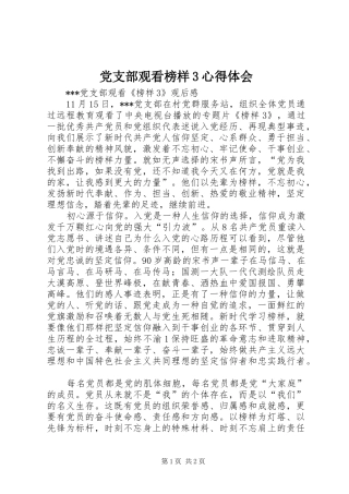 党支部观看榜样3心得体会