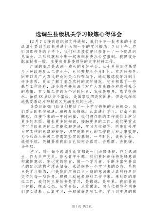 选调生县级机关学习锻炼心得体会