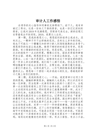 审计人工作感悟