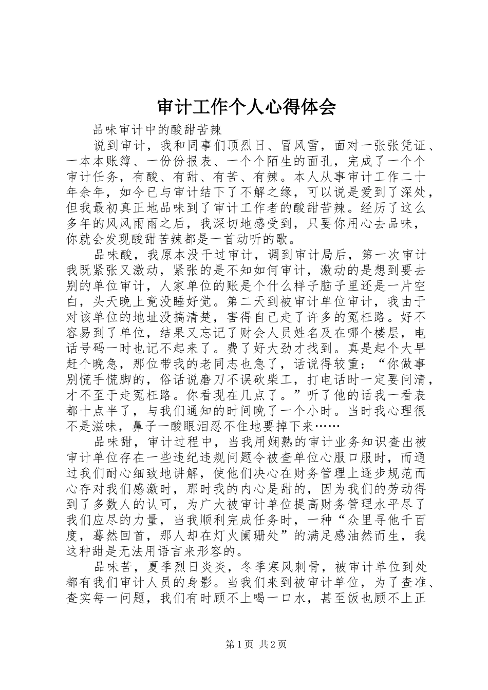 审计工作个人心得体会_第1页