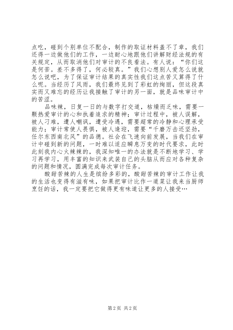 审计工作个人心得体会_第2页