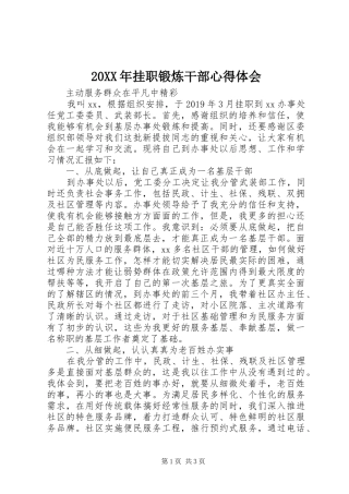 20XX年挂职锻炼干部心得体会