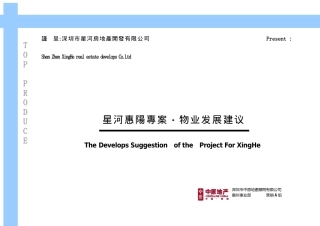 中原星河惠阳项目之物业发展建议