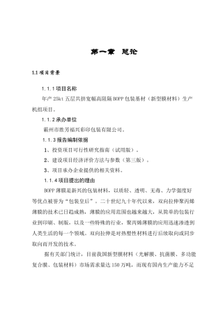BOPP包装公司项目管理报告书