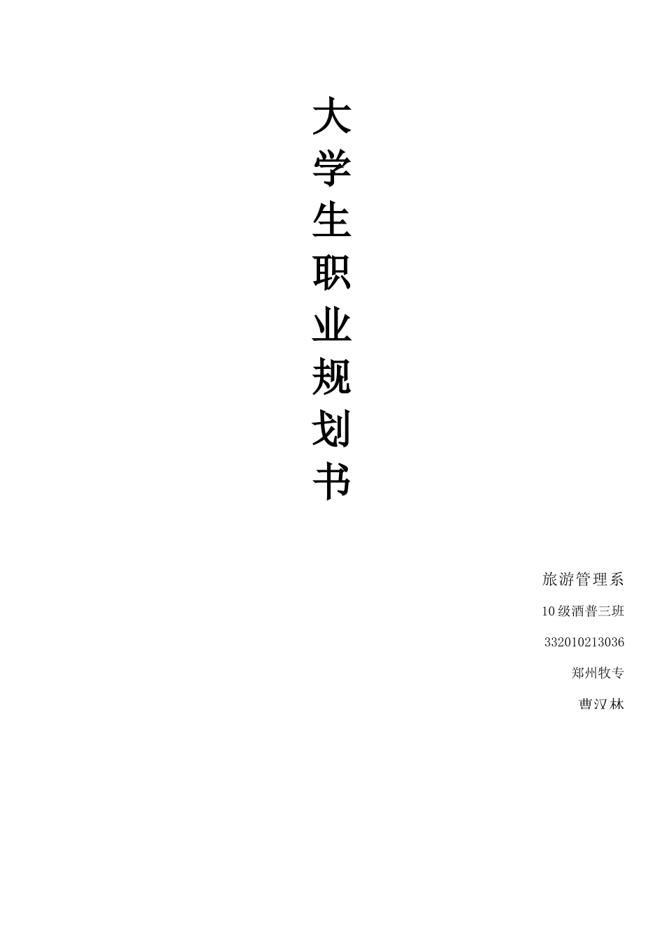 馨序酒吧商业策划书_第1页