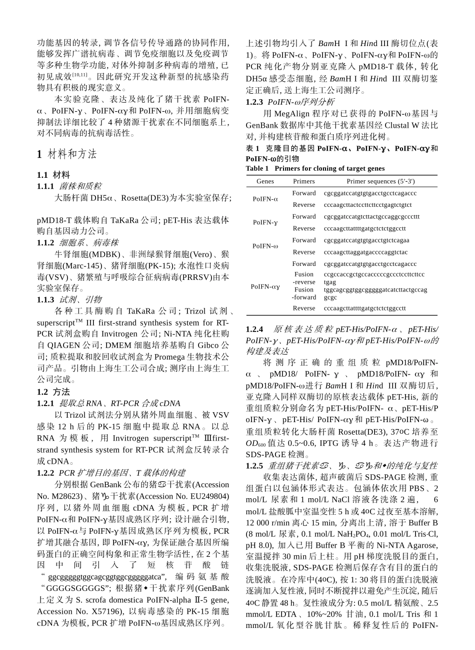 猪I型与II型干扰素的克隆-生物谷-生物医药门户_第2页