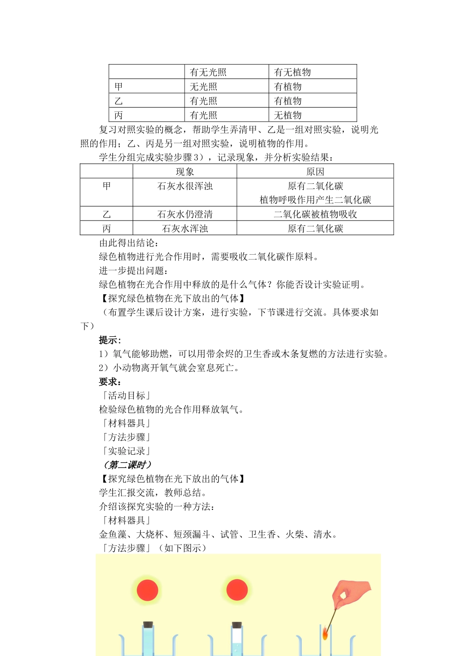 绿色植物与生物圈中的碳——氧平衡_第3页