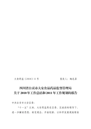 药监局XXXX总结计划
