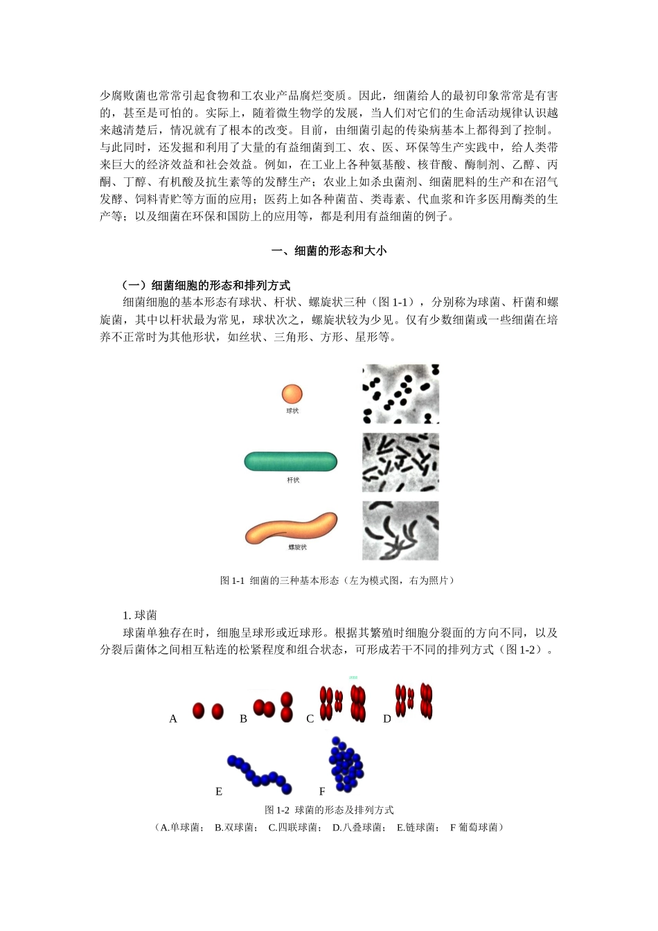 第一章原核微生物-中国养殖信息网—养殖信息养牛信息养羊信_第2页