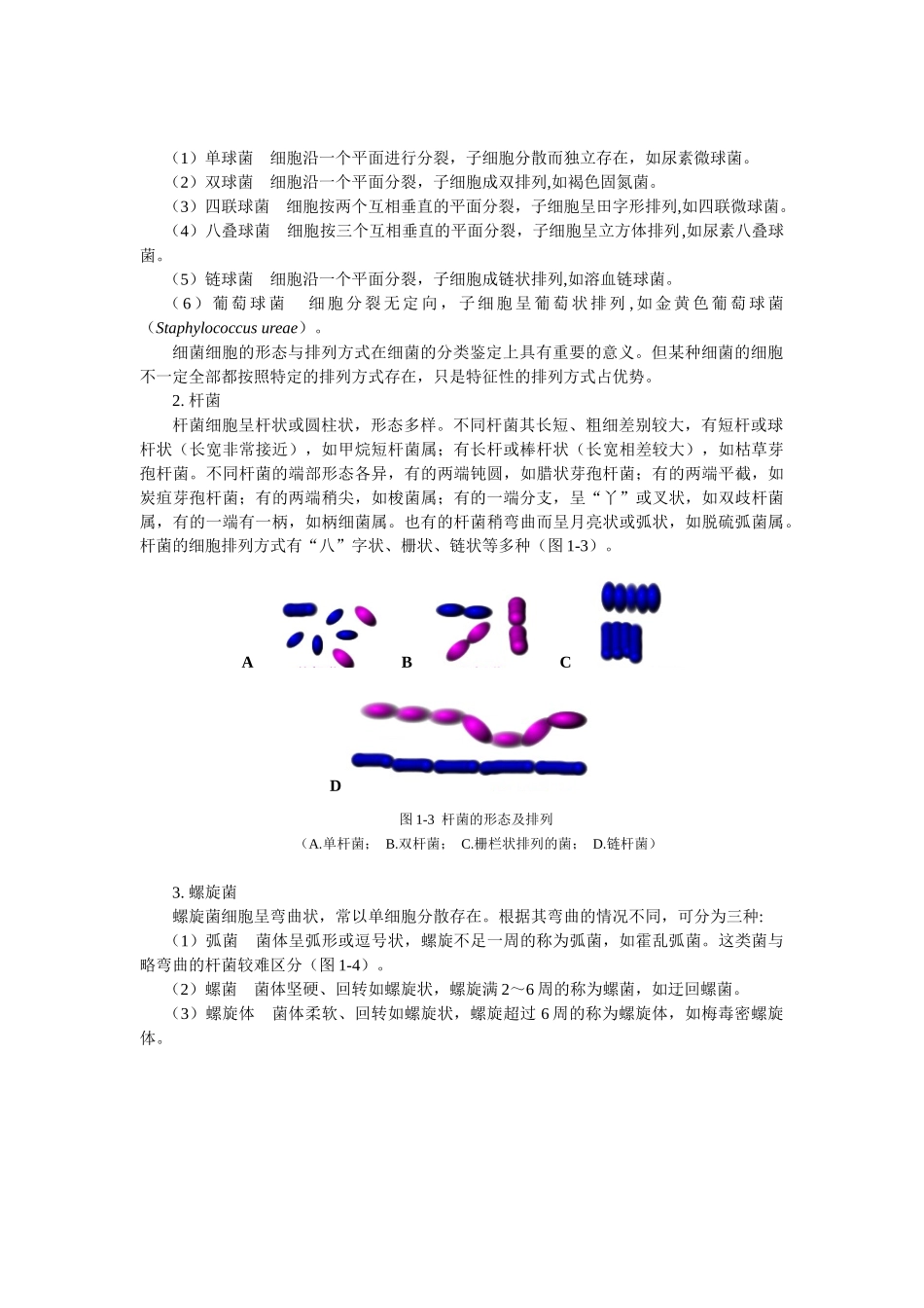 第一章原核微生物-中国养殖信息网—养殖信息养牛信息养羊信_第3页