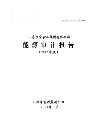 XXXX能源审计报告模板(日照市能源监测中心最终)