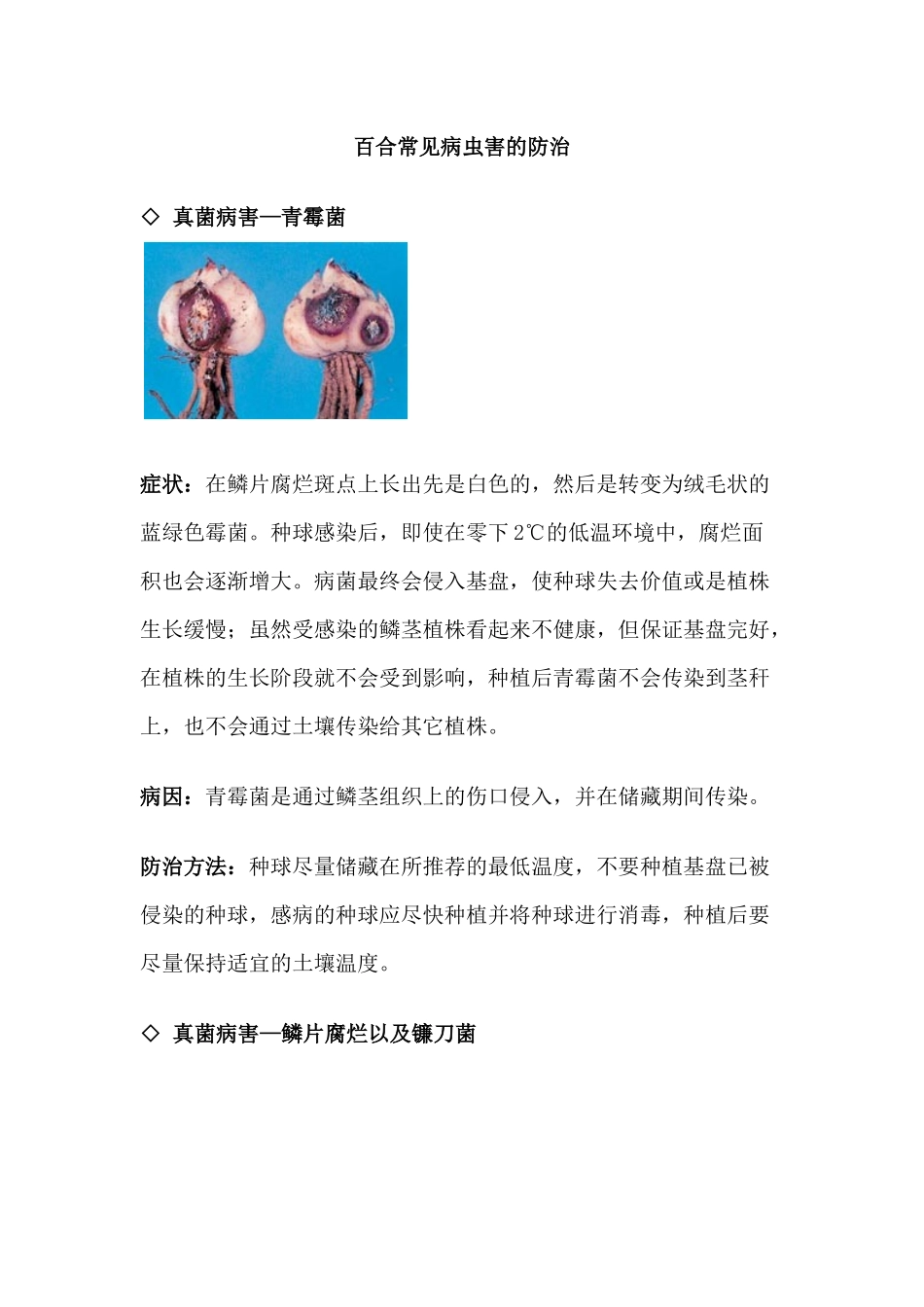 百合常见病虫害的防治知识_第1页