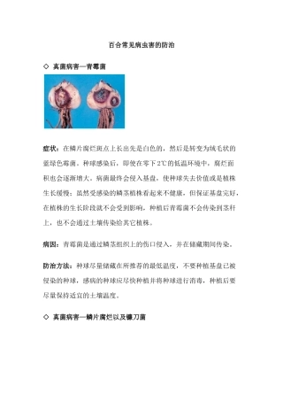 百合常见病虫害的防治知识