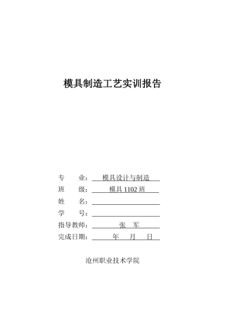 模具制造工艺实训报告
