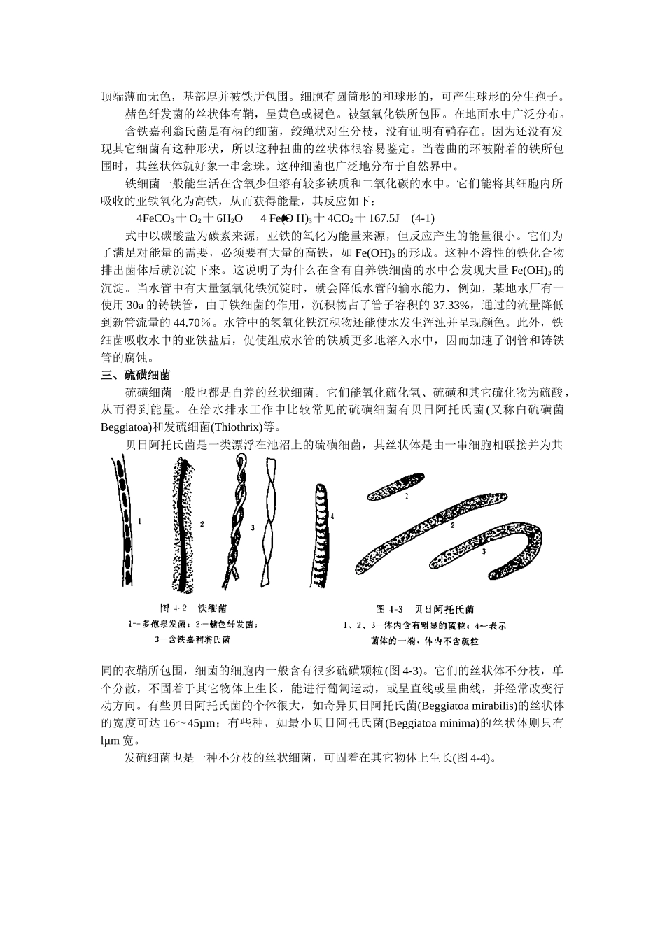 水处理微生物学 第四章 其它微生物_第2页