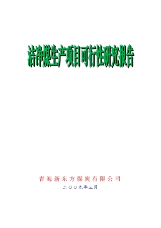 青海某煤炭公司洁净煤生产项目研究报告