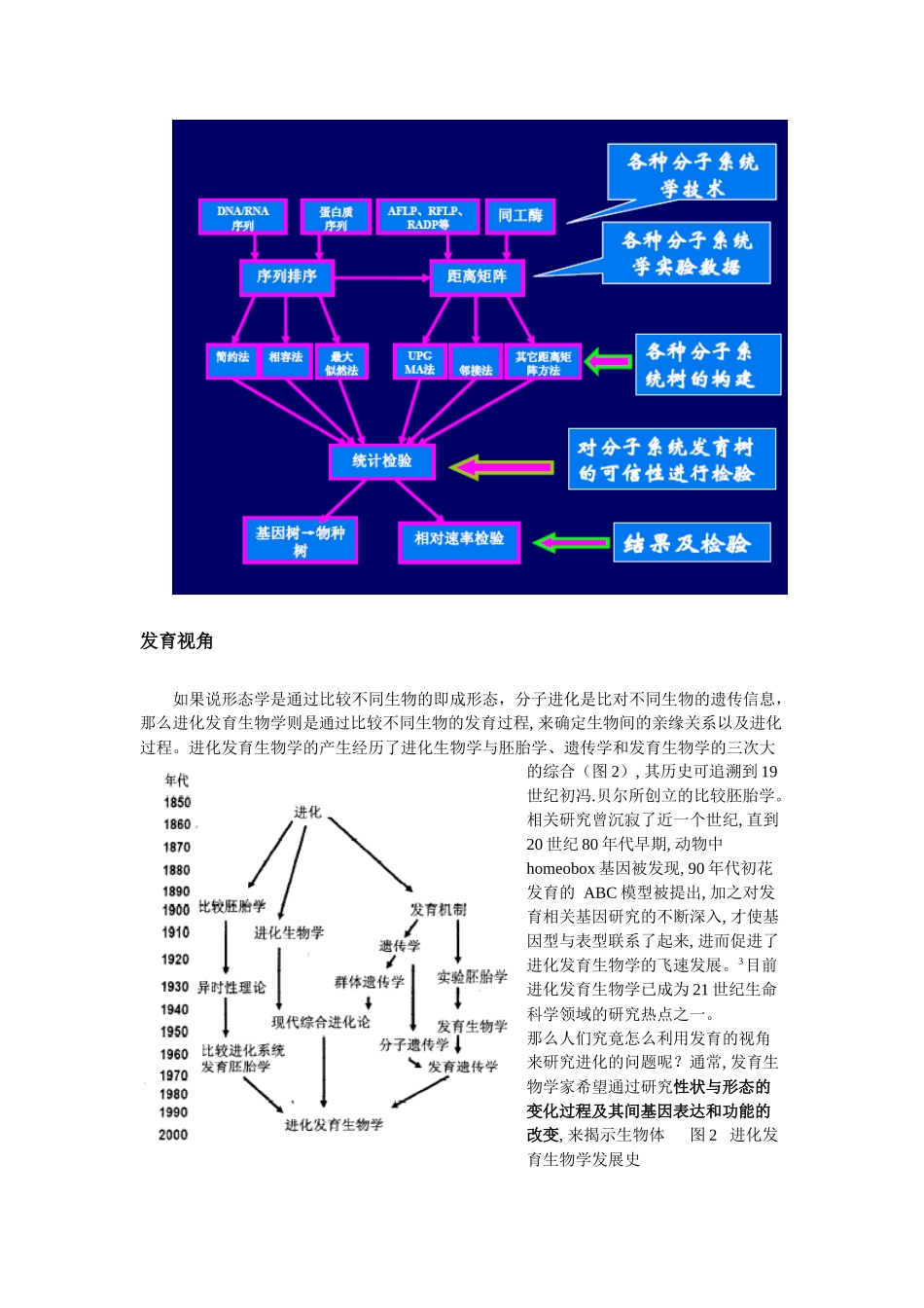 关于进化生物学的一点看法_第3页