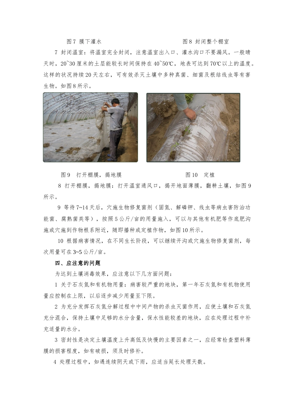 石灰氮--日光土壤消毒与生物菌剂联合修复连作障碍技术..._第3页