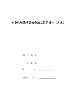 专业性较强项目安全施工组织设计方案范本