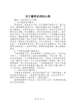 关于露养多肉的心得