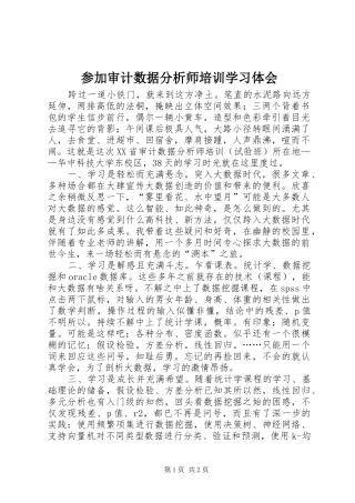 参加审计数据分析师培训学习体会
