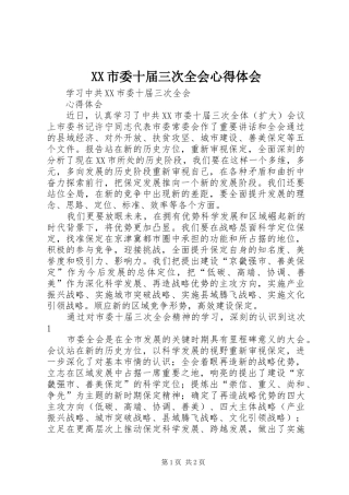 XX市委十届三次全会心得体会