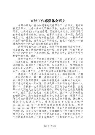 审计工作感悟体会范文