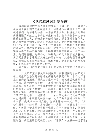 《党代表风采》观后感