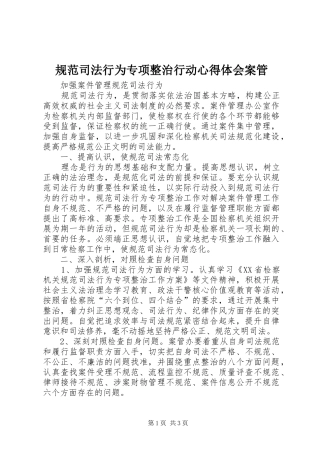 规范司法行为专项整治行动心得体会案管