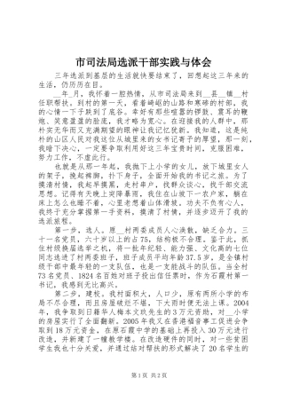 市司法局选派干部实践与体会