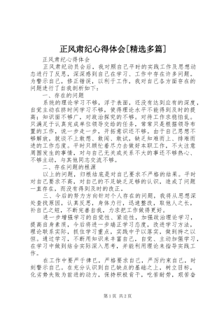 正风肃纪心得体会[精选多篇]