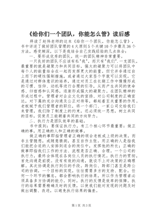 《给你们一个团队，你能怎么管》读后感