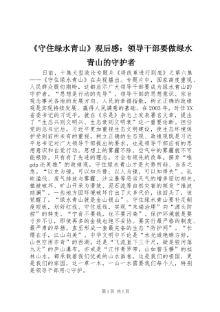 《守住绿水青山》观后感：领导干部要做绿水青山的守护者