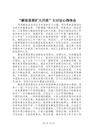 “解放思想扩大开放”大讨论心得体会