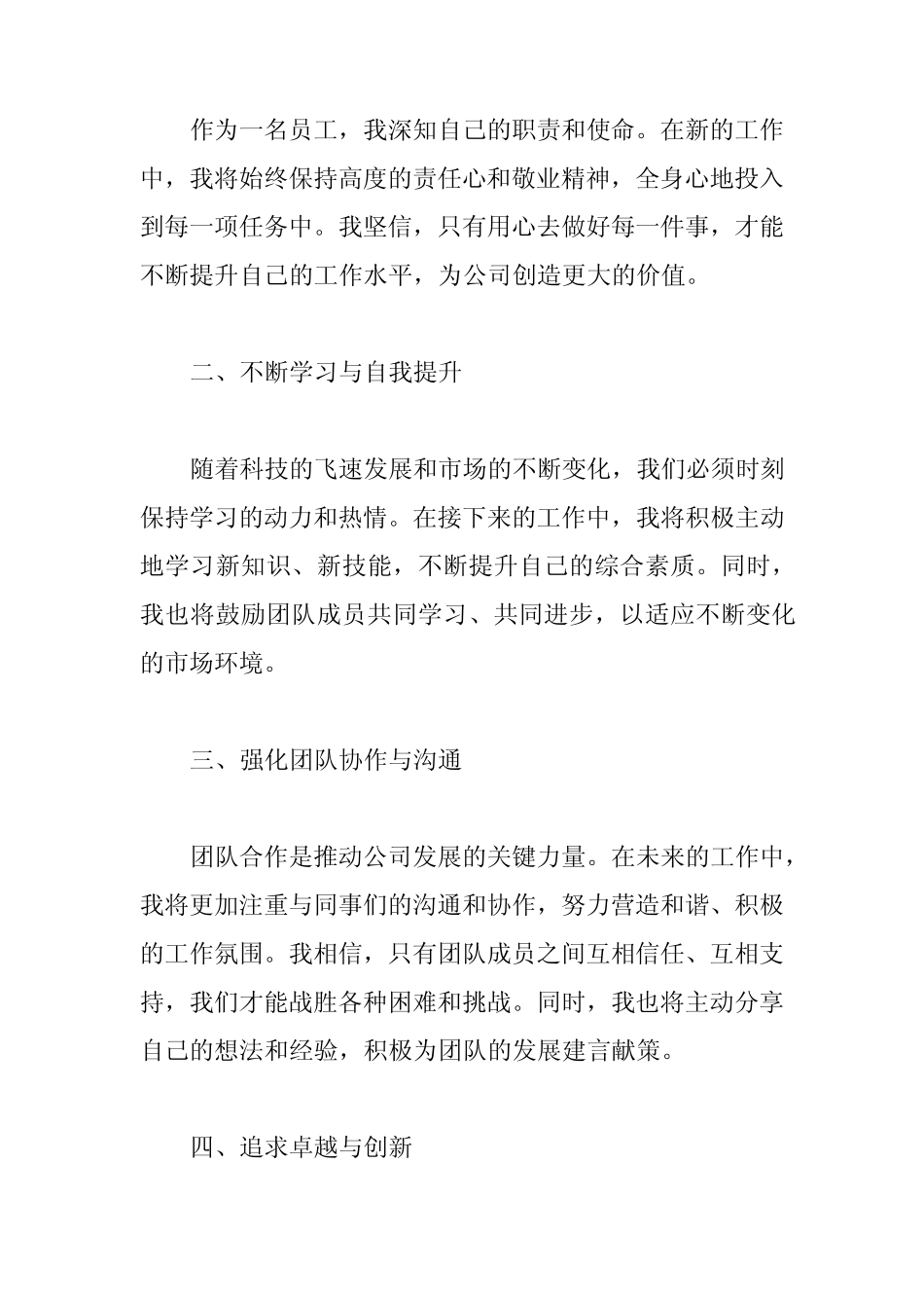 2024年工作表态发言_第2页