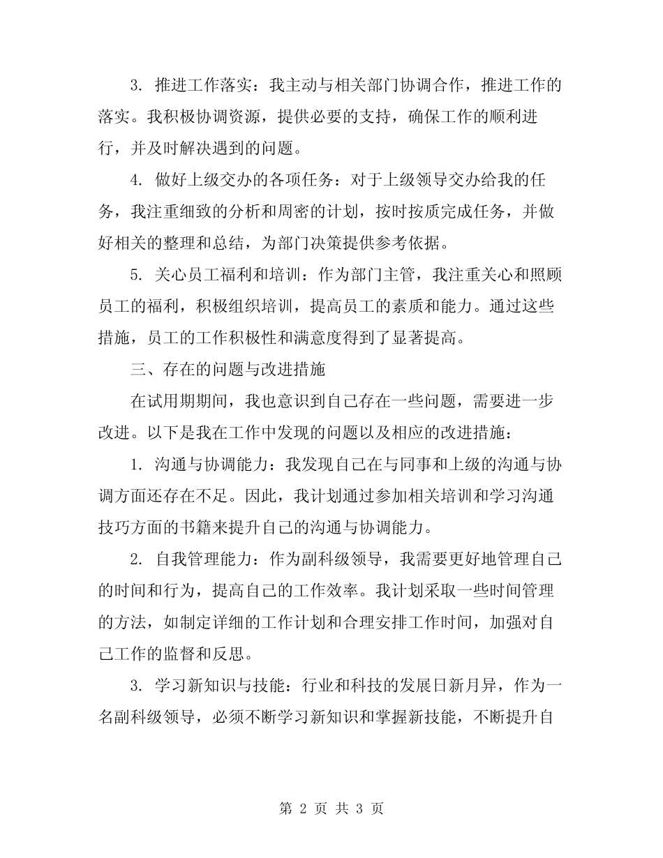 2024年副科级领导试用期述职报告_第2页
