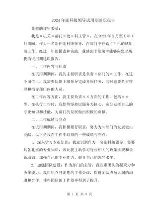 2024年副科级领导试用期述职报告