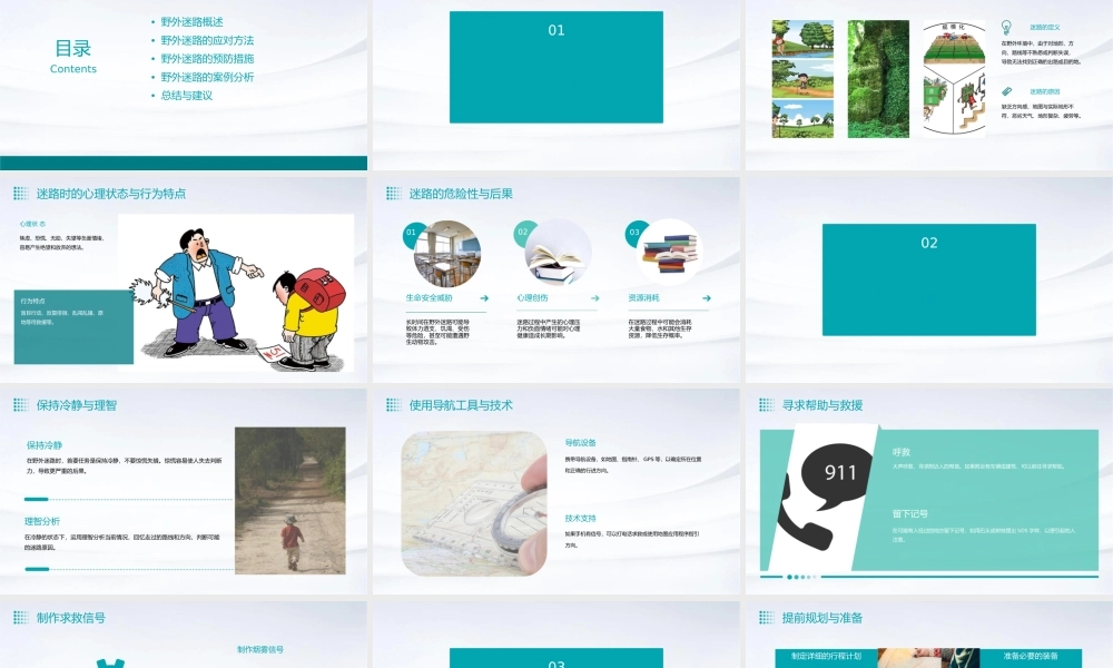 要是你在野外迷了路资料